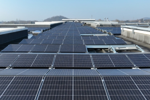 Reno.energy installateur de panneaux photovoltaïques pour les entreprises, les industries et les marchés publics